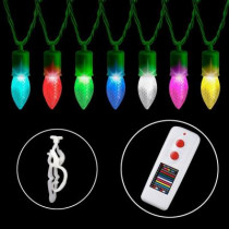 24-Light LED Color Changing Light Set with Remote and Clips