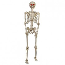 60 in. Poseable Skeleton with LED Illumination