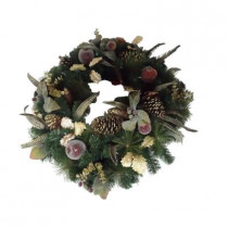30 in. Battery Operated Feathers and Fruit Artificial Wreath with 50 Clear LED Lights